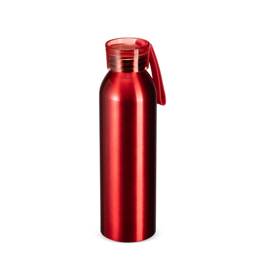 Garrafa Alumínio 650ml